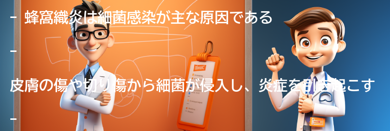 蜂窩織炎の原因は何ですか？の要点まとめ