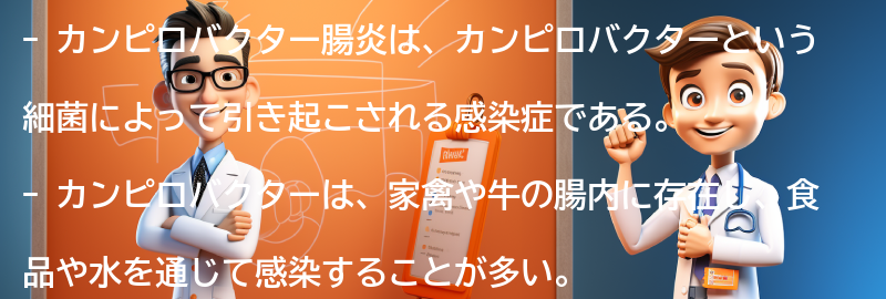 カンピロバクター腸炎の原因は何ですか？の要点まとめ