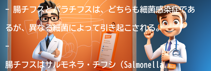 腸チフスとパラチフスの原因と感染経路の要点まとめ