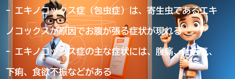 お腹が張る原因としてのエキノコックス症の要点まとめ