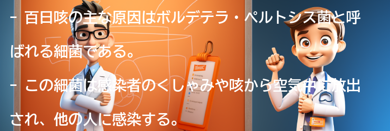 百日咳の主な原因は何ですか？の要点まとめ