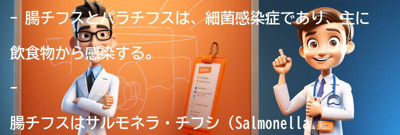 腸チフスとパラチフスの原因と感染経路の要点まとめ