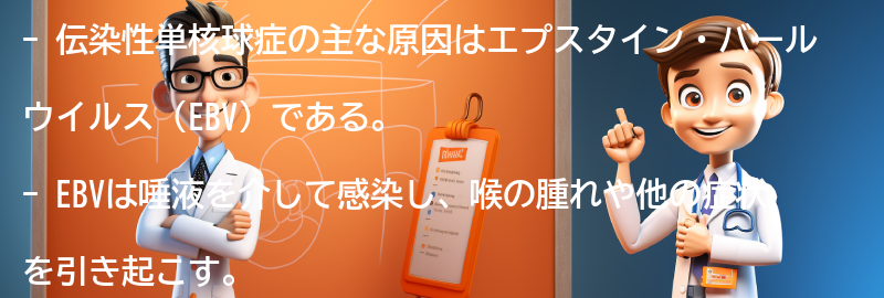 伝染性単核球症の主な原因は何ですか？の要点まとめ