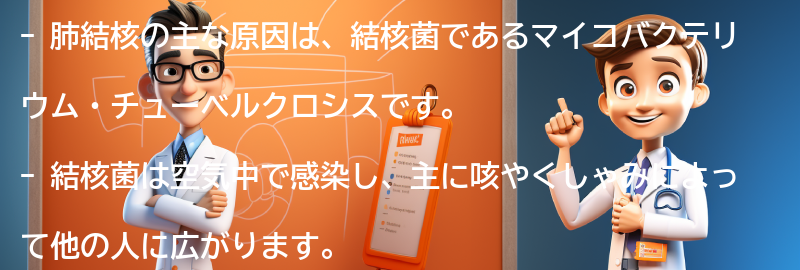 肺結核の主な原因は何ですか？の要点まとめ