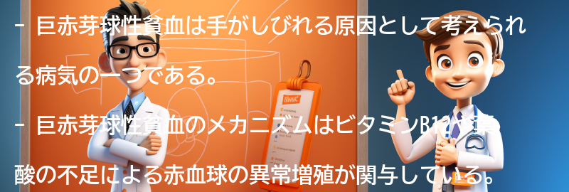 手がしびれる原因としての巨赤芽球性貧血のメカニズムの要点まとめ