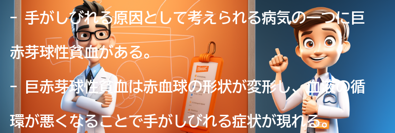 手がしびれる場合の巨赤芽球性貧血への対処法の要点まとめ