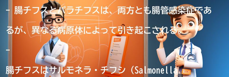 腸チフスとパラチフスとは何か？の要点まとめ