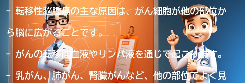 転移性脳腫瘍の主な原因は何ですか？の要点まとめ