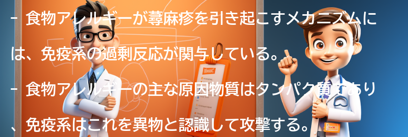 食物アレルギーが蕁麻疹を引き起こすメカニズムの要点まとめ