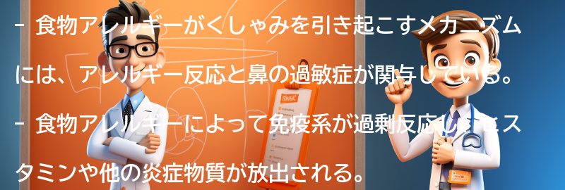 食物アレルギーがくしゃみを引き起こすメカニズムの要点まとめ