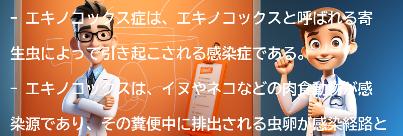 エキノコックス症の原因と感染経路の要点まとめ