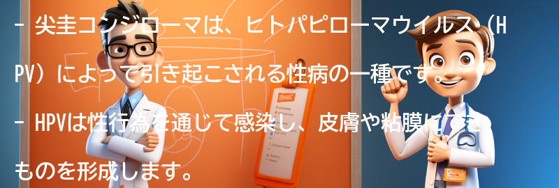 尖圭コンジローマの主な原因は何ですか？の要点まとめ