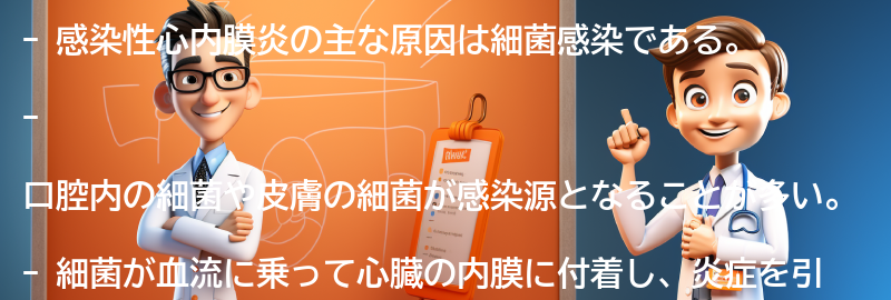 感染性心内膜炎の主な原因は何ですか？の要点まとめ