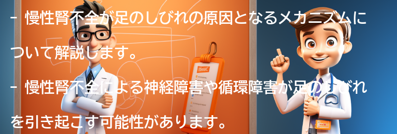 足がしびれる原因としての慢性腎不全のメカニズムの要点まとめ