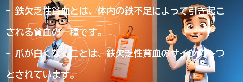 鉄欠乏性貧血と関連する食品と栄養素の要点まとめ