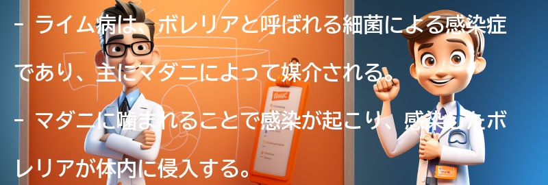 ライム病の原因と感染経路の要点まとめ