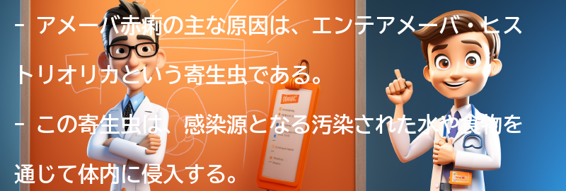 アメーバ赤痢の主な原因は何ですか？の要点まとめ