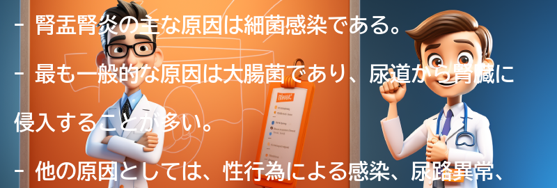 腎盂腎炎の主な原因は何ですか？の要点まとめ