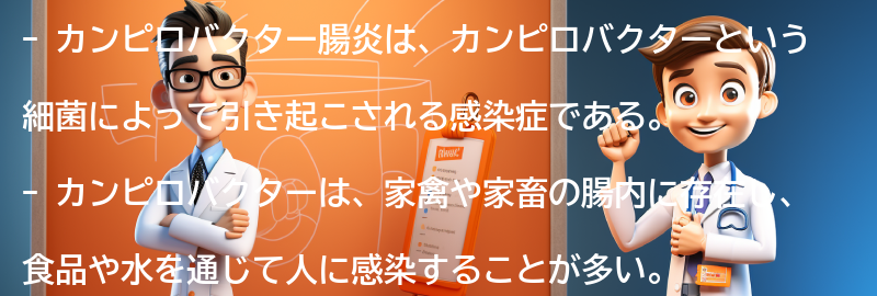 カンピロバクター腸炎の原因と感染経路の要点まとめ